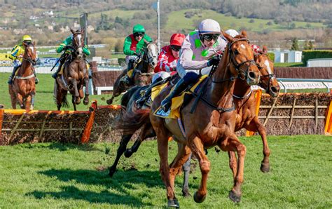cheltenham triumph hurdle betting.